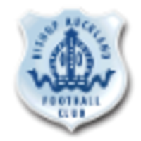 bishop auckland football club limited