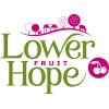 lower hope fruit limited