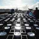 dragon fireworks limited