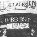 t.cribb & sons (willows) limited