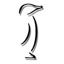 penguin photography limited