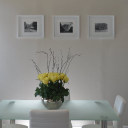 westpoint properties limited