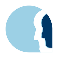 the risk advisory group limited