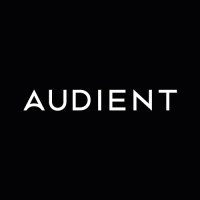 audient limited