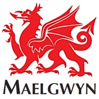 maelgwyn mineral services limited