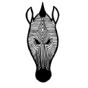 zebra projects limited