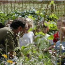 wirral environmental network