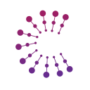 cyber strategies ltd