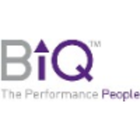 biq associates limited