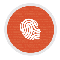 visionmetric limited