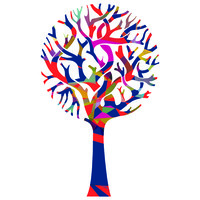 timbmet trade limited