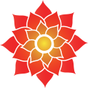 conscious image limited