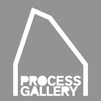 process gallery ltd