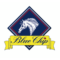 blue chip feed limited