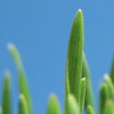 complete caring limited