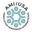 amius limited