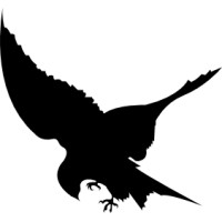 hawkstone consulting limited