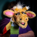 life education wessex