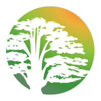 cedar care homes limited