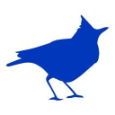 bluelark limited