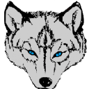 silver wolf systems limited