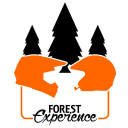 the forest experience limited