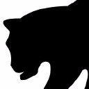 black cat video limited