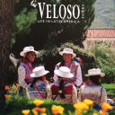 veloso tours limited
