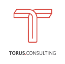 torus consulting limited