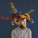 electric daisy flower farm ltd