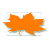 orangeleaf systems limited