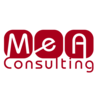 mea consulting limited