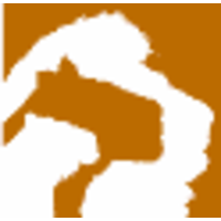 pride motor contracts limited