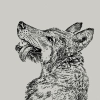 smiling wolf limited