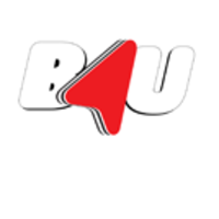 b4u network (europe) limited