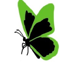 masthaven finance limited