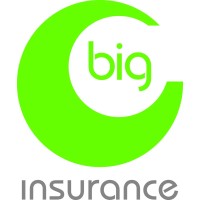 big insurance ltd