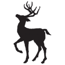 deer park management limited