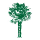 the palm centre limited