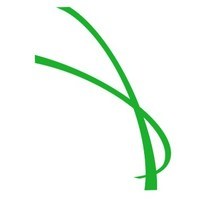 beams international limited