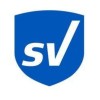 safevision limited