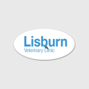 lisburn v.e. limited