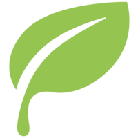 viventa health group ltd