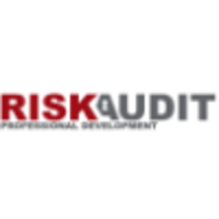 risk audit professional development limited
