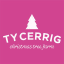 tycerrig limited