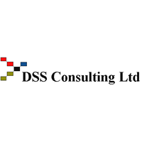 d s s consulting limited