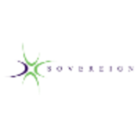 sovereign strategy limited