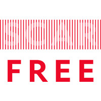 the scar free foundation