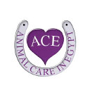 animal care in egypt limited