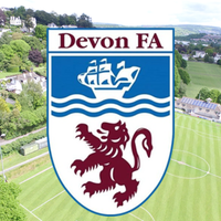 devon county football association limited